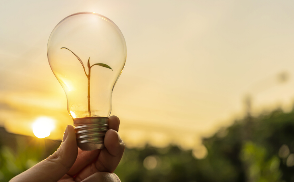 Energy and Evolution